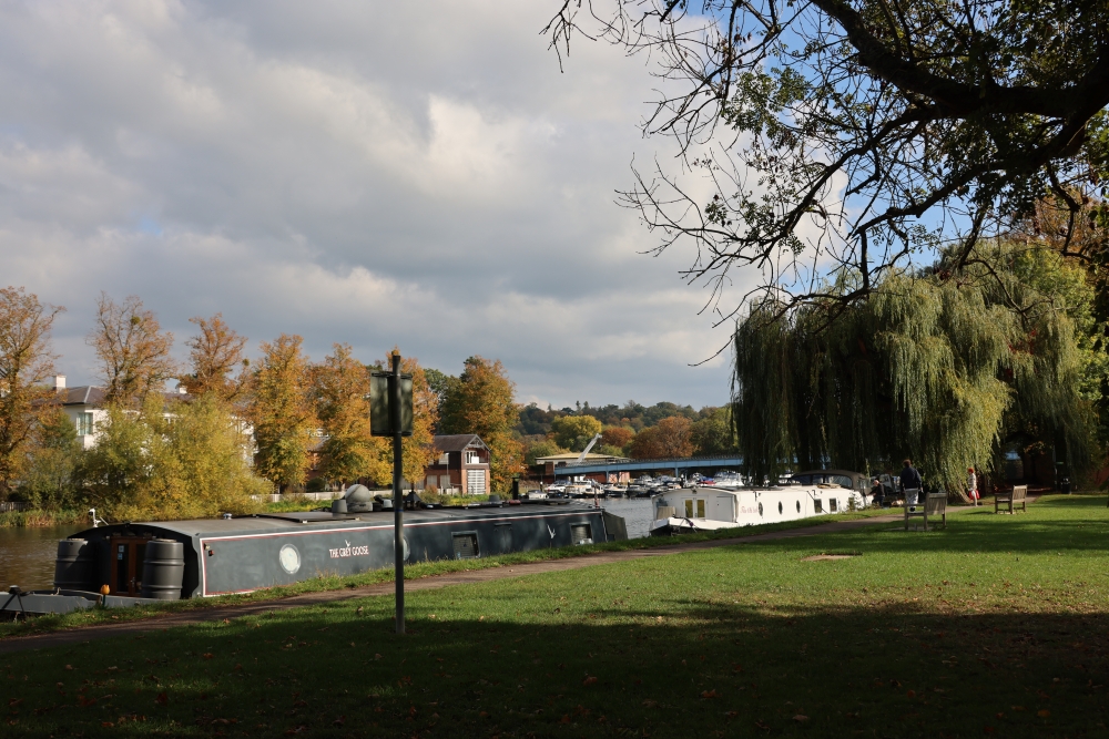 Scenic view of canal boats and weeping willow trees along the River Thames near Cookham